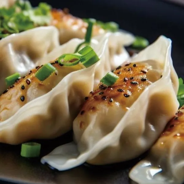 gyoza de mixto con verdura[4]